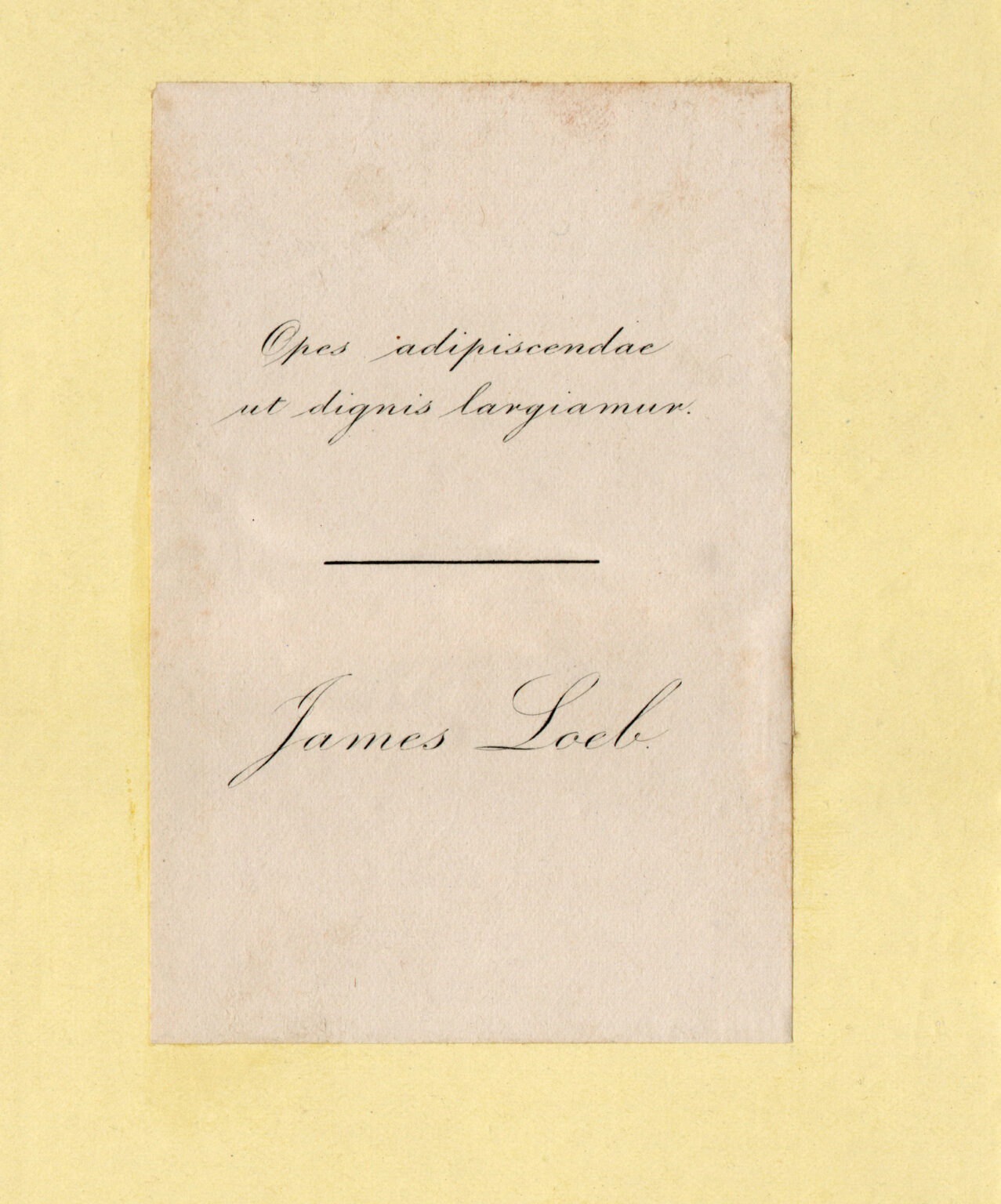 James Loeb I
